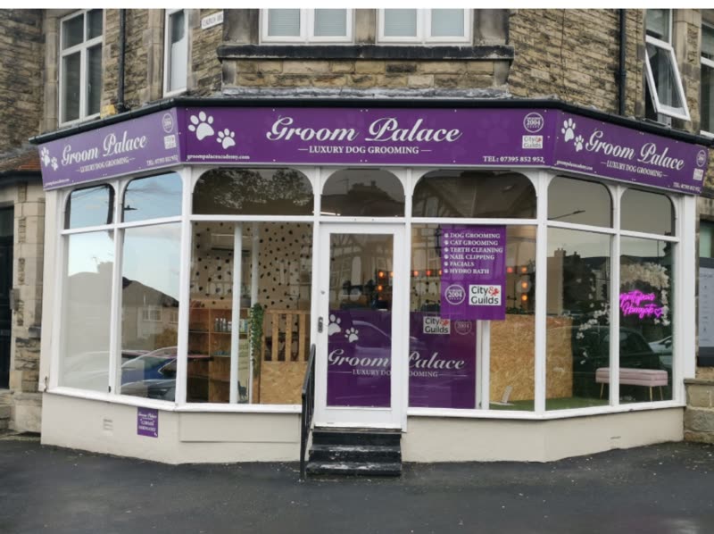 Daytime exterior of the corner shopfront with purple signage and bay windows