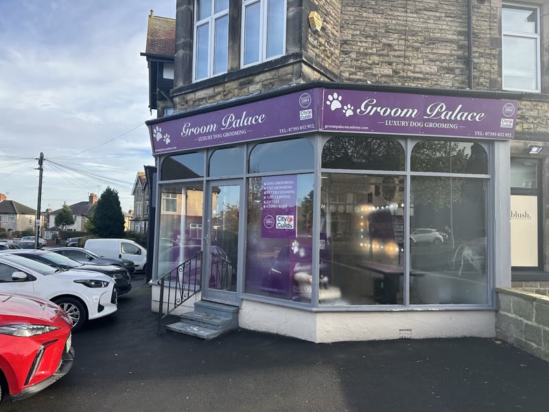 The shop at dusk with its lit purple fascia seen from across the street
